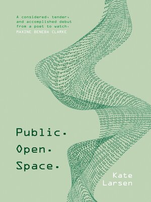 cover image of Public. Open. Space